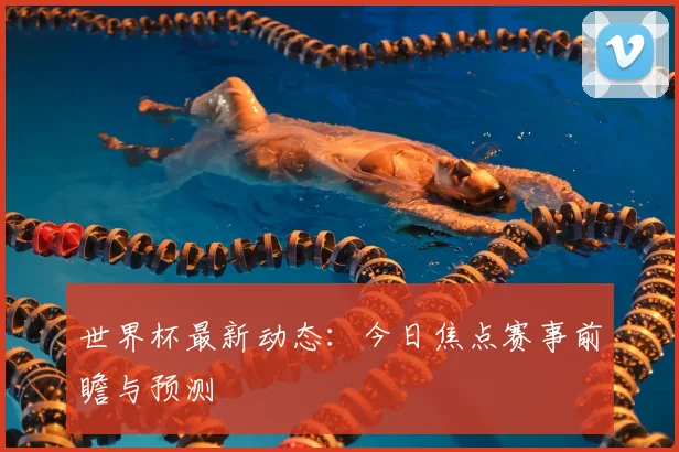 世界杯最新动态：今日焦点赛事前瞻与预测