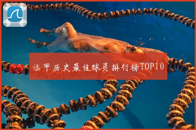 法甲历史最佳球员排行榜TOP10