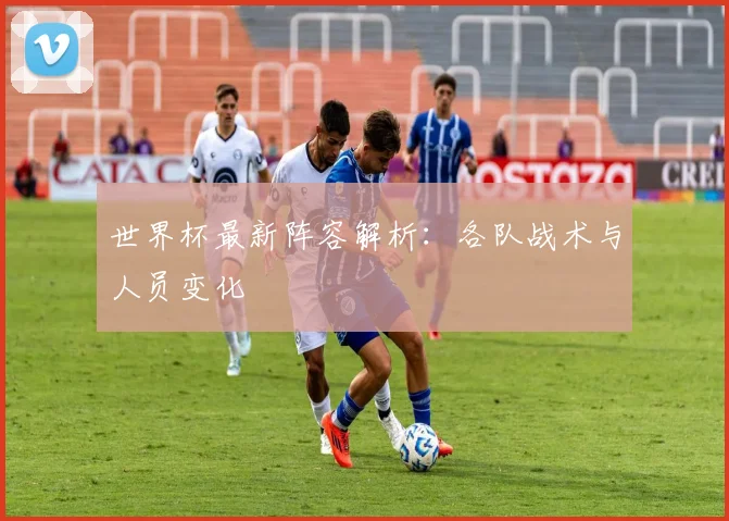 世界杯最新阵容解析：各队战术与人员变化