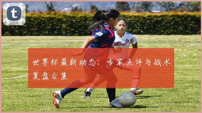 世界杯最新动态：专家点评与战术复盘合集