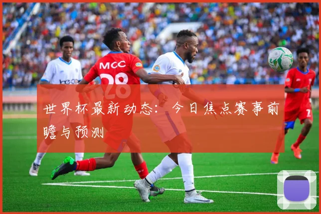世界杯最新动态：今日焦点赛事前瞻与预测