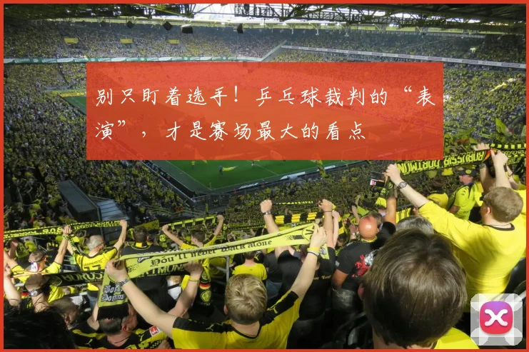 别只盯着选手！乒乓球裁判的“表演”，才是赛场最大的看点