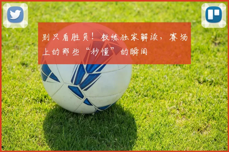 别只看胜负！教练独家解读，赛场上的那些“秒懂”的瞬间